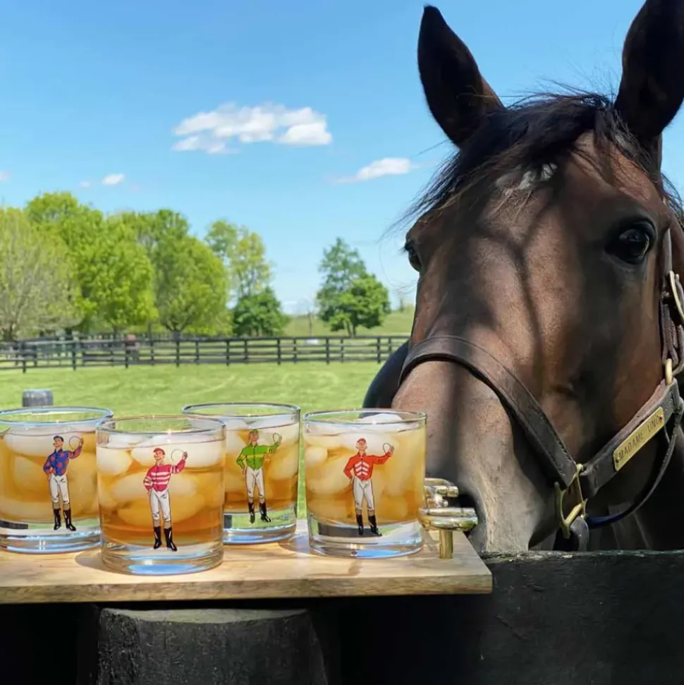 Classic Jockey Silks Bourbon Glass Mixed Set of 4