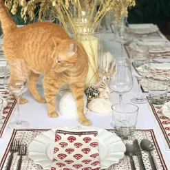 India Hicks Carnations Napkins