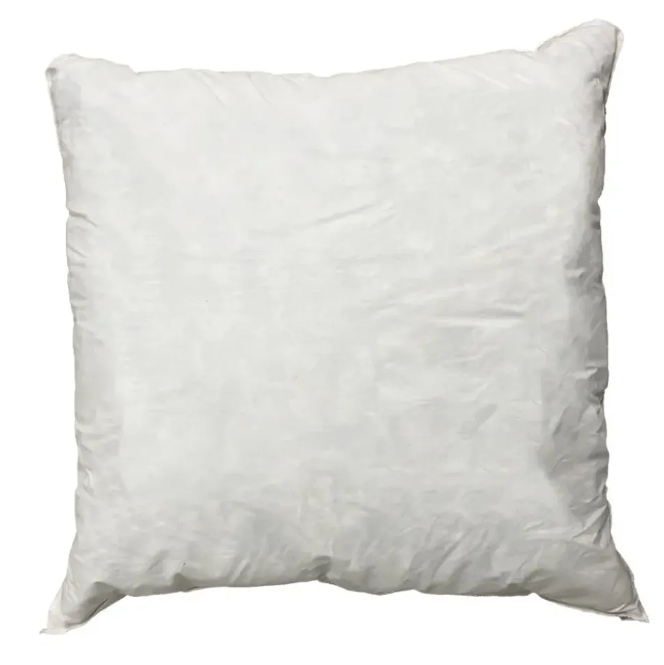 Square Throw Pillow Insert